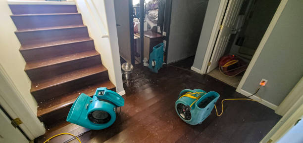 Best Water damage restoration insurance claims  in Mills, WY
