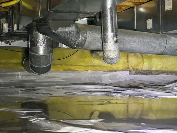 Best Mold removal after water damage  in Mills, WY