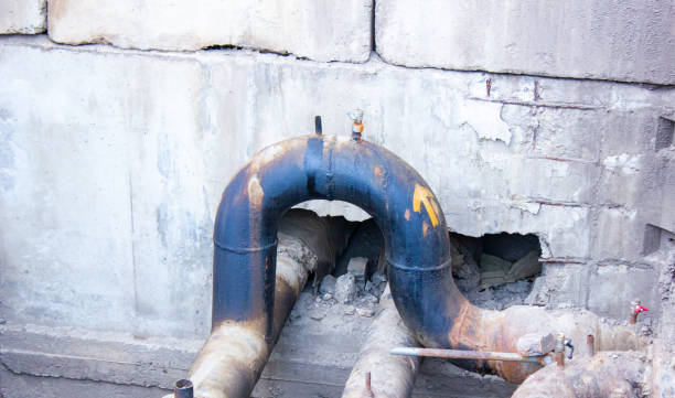 Best Water damage restoration near me  in Mills, WY